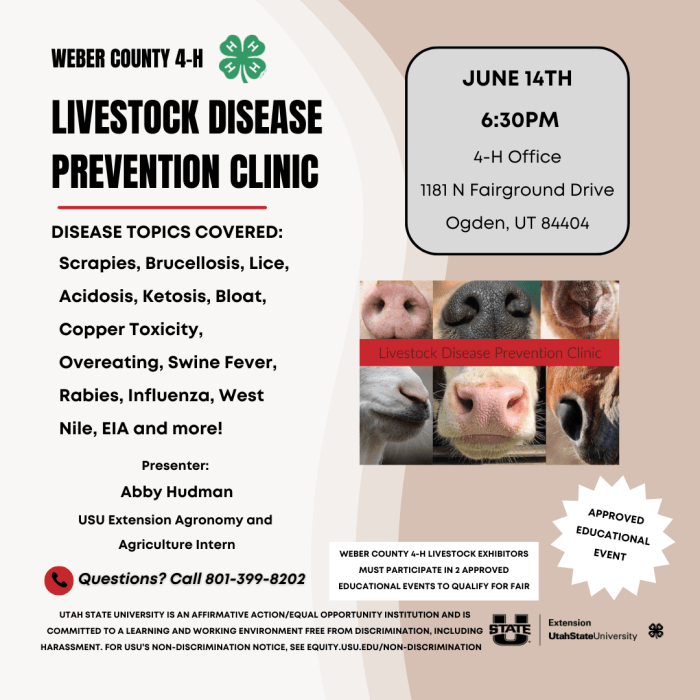 Livestock health and disease prevention