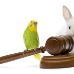 Animal rights protection symbol illustration