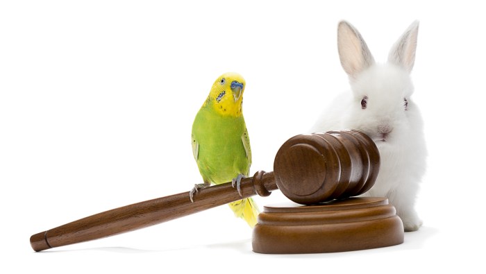Animal rights protection symbol illustration
